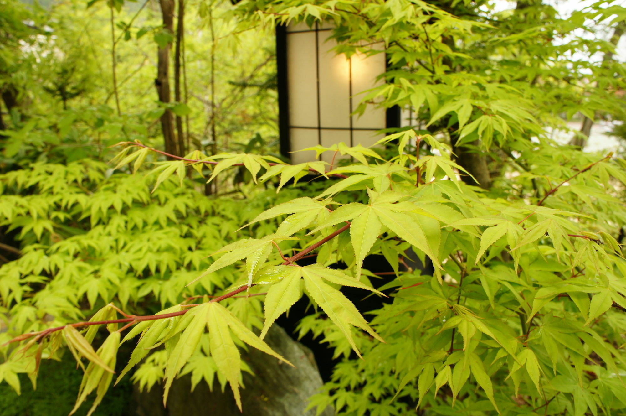 Hotel Hidaji (Adults Only) Takayama  Exterior foto